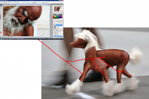 Creation of My bold doggy: Step 5